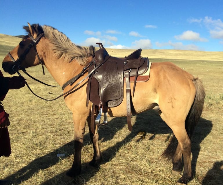 From Ulaanbaatar: Day Trip to Hustai National Park - Key Highlights You’ll Care About