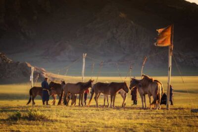 From Ulaanbaatar: Day Trip to Hustai National Park - The Drive From Ulaanbaatar: Tents, Asphalt, and Mountain Valleys