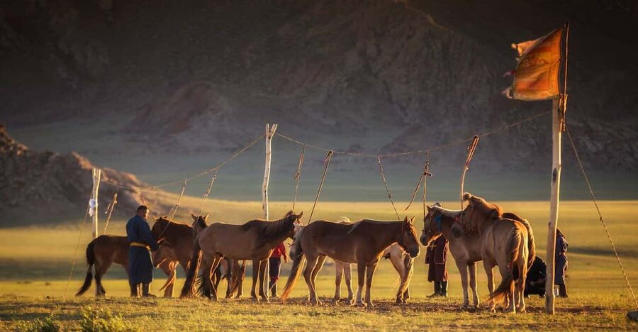 From Ulaanbaatar: Day Trip to Hustai National Park - Horse Spotting at Hustai: Timing, Heat, and Photo-Friendly Spots