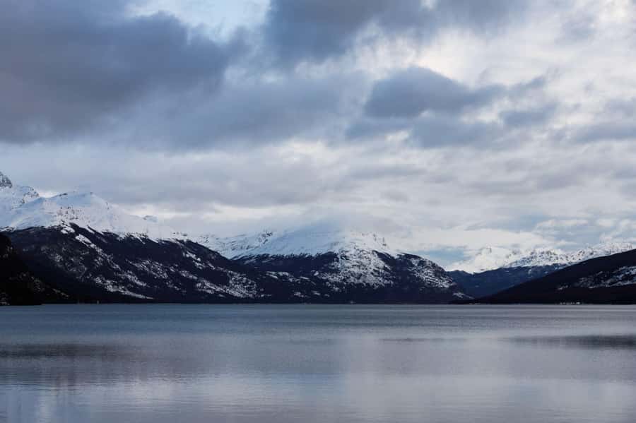 From Ushuaia: Discover Tierra del Fuego National Park - Key highlights worth planning around