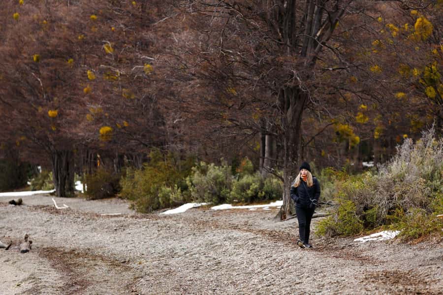 From Ushuaia: Discover Tierra del Fuego National Park - Group size and comfort: expect a real coach tour pace