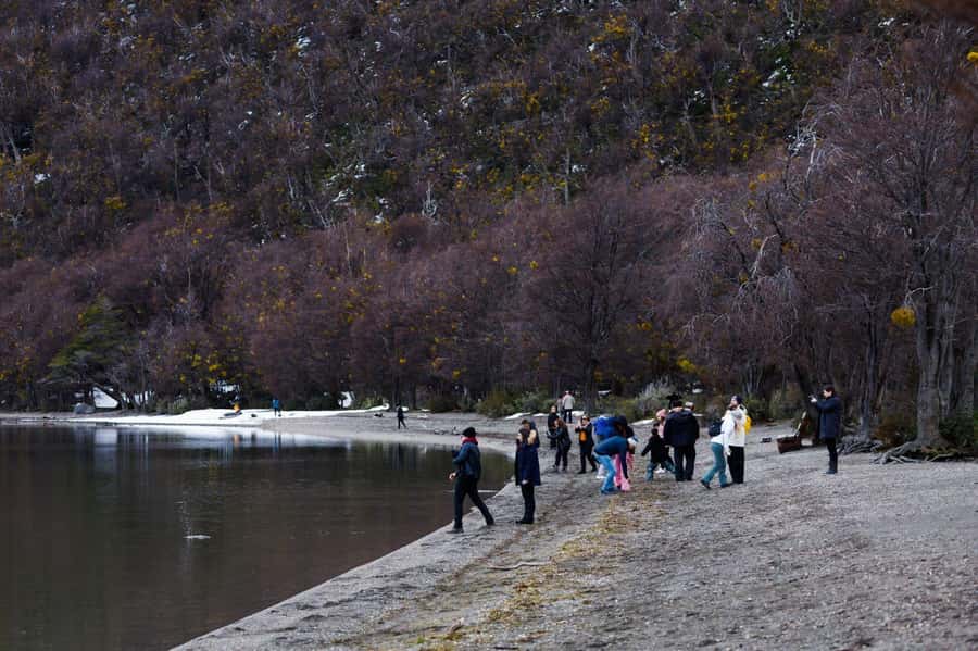 From Ushuaia: Discover Tierra del Fuego National Park - Tierra del Fuego: coastlines meet mountains in one short day