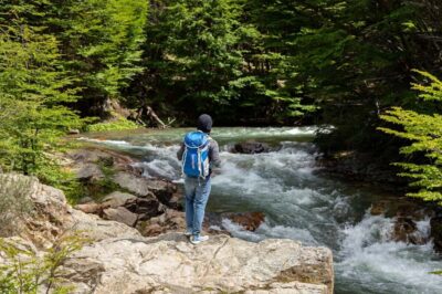 From Ushuaia: Discover Tierra del Fuego National Park - From downtown Ushuaia to the park: how the timing works
