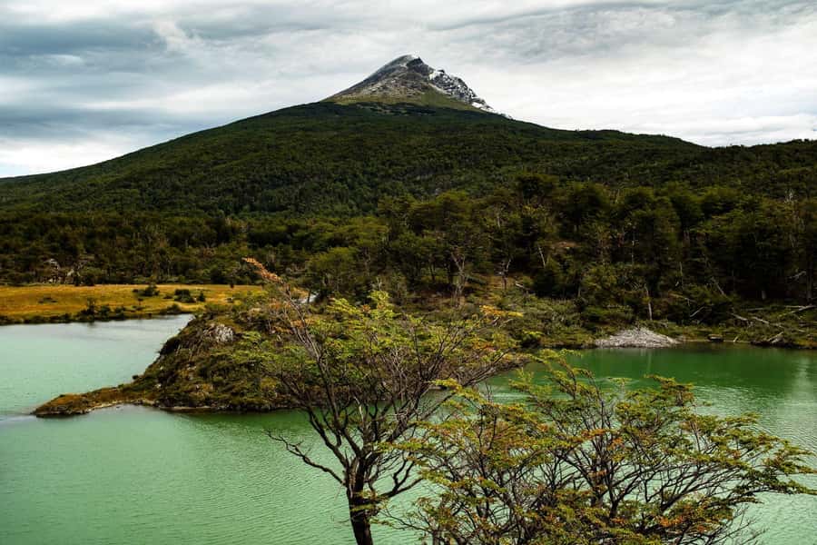 From Ushuaia: Discover Tierra del Fuego National Park - Alakush Visitor Center: putting names to the place