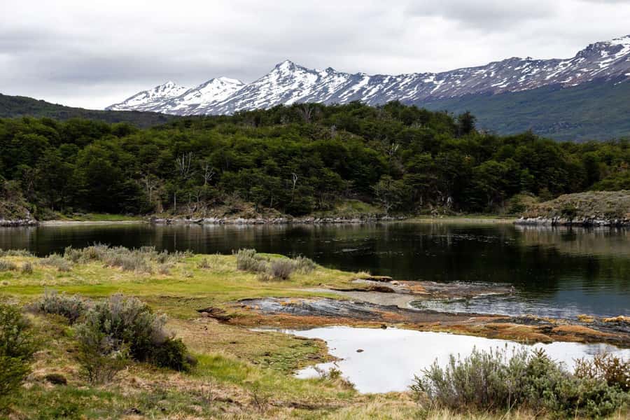 From Ushuaia: Discover Tierra del Fuego National Park - Lapataia Bay: the Pan-American Highway’s famous end