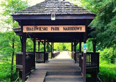 From Warsaw: Small-Group Tour to Bialowieza National Park - The Strict Protection Area: The Forest Walk That Actually Follows the Rules