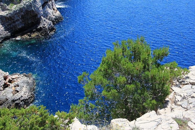 From Zadar: Kornati National Park Day Trip with Breakfast & Lunch - On Board: What the Boat Feels Like