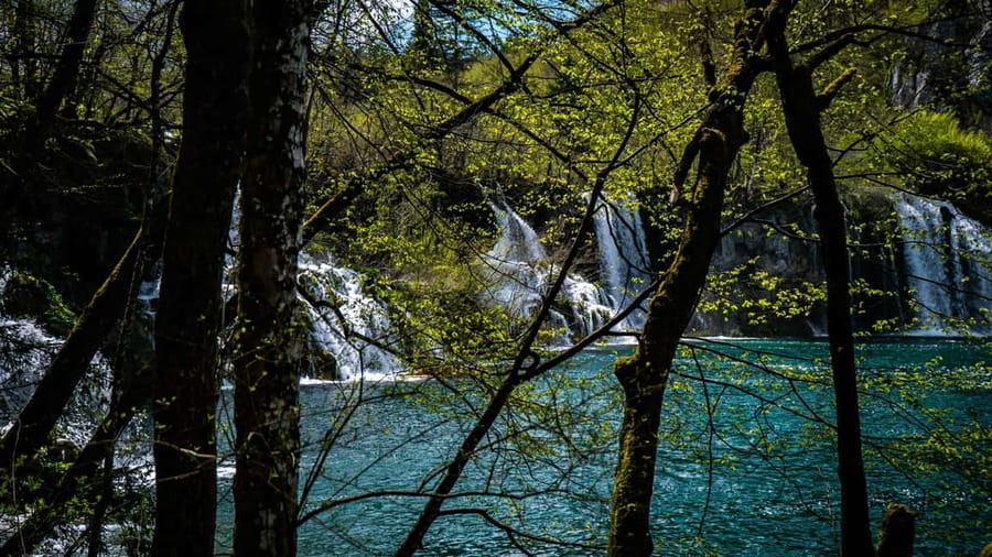 From Zagreb: Plitvice Lakes National Park Full-Day Tour - Timing inside the park: views, crowds, and why 4.5 hours is a sweet spot