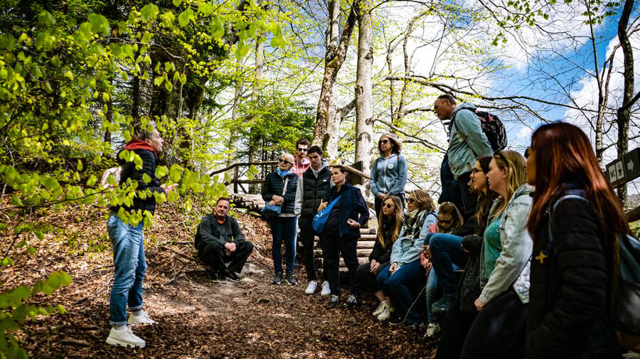 From Zagreb: Plitvice Lakes National Park Full-Day Tour - What the guides do differently (and what to do with it)