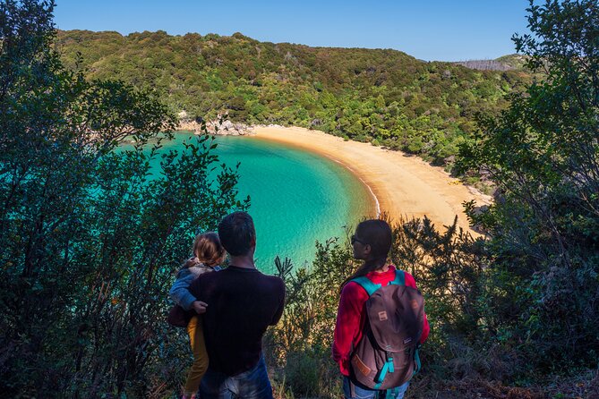 Full-Day Abel Tasman National Park Hiking Tour with Cruise - Key highlights worth planning for