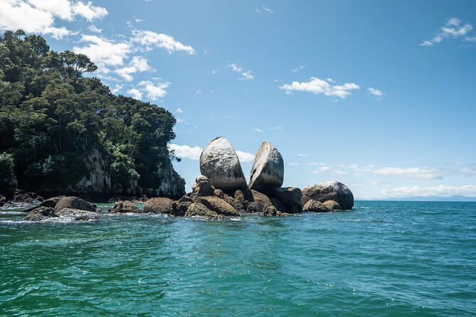 Full-Day Abel Tasman National Park Hiking Tour with Cruise - What the $371.72 price actually buys you