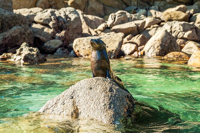 Full-Day Abel Tasman National Park Hiking Tour with Cruise - What to pack and how to handle the day comfortably