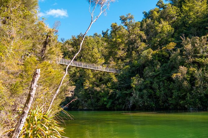 Full-Day Abel Tasman National Park Hiking Tour with Cruise - Who this tour suits best (and who might rethink it)