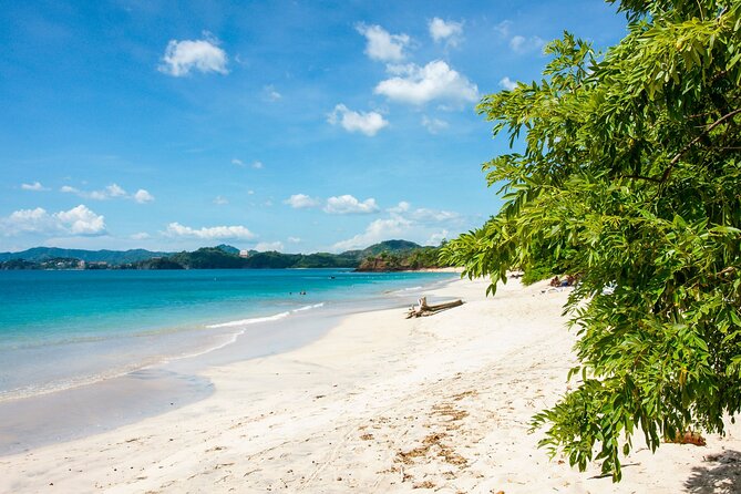 Full-Day Adventure to Manuel Antonio National Park from San Jose - Key things I’d circle before you go