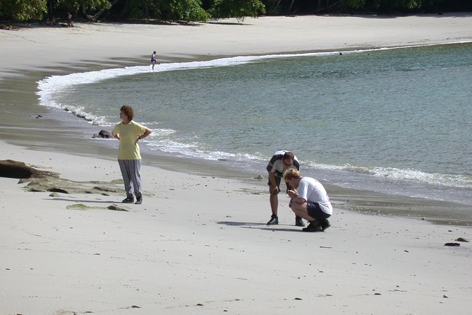 Full-Day Adventure to Manuel Antonio National Park from San Jose - The 6:00 am start: how the schedule really feels