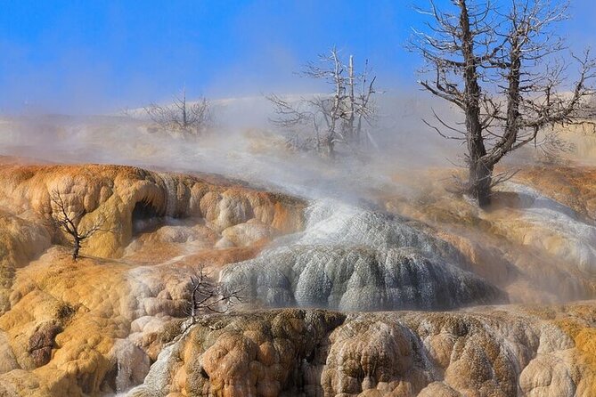 Full Day Best Of Yellowstone National Park Tour From Big Sky - Big Sky pickup at 6:45am: why the timing works