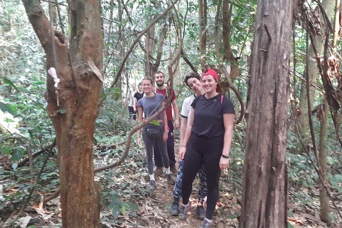 Full-Day Cuc Phuong National Park Hiking Tour - Stops along the Ninh Binh Loop: Why the drive is part of the story