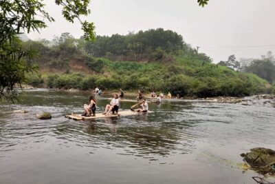 Full-Day Cuc Phuong National Park Hiking Tour - Conservation learning that feels grounded, not vague