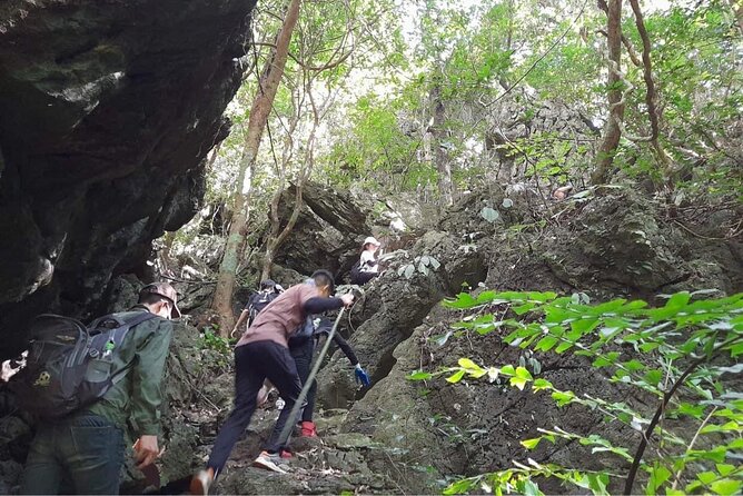 Full-Day Cuc Phuong National Park Hiking Tour - Guide impact: Friendly explanations, clear English, and real care