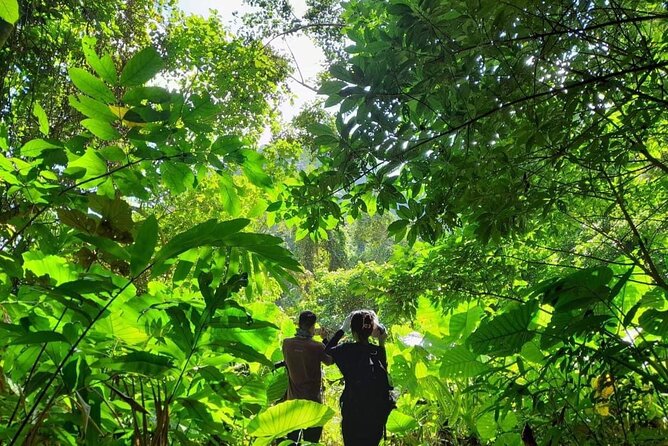 Full-Day Cuc Phuong National Park Hiking Tour - Weather and trail reality: Mud, rain, and what to wear