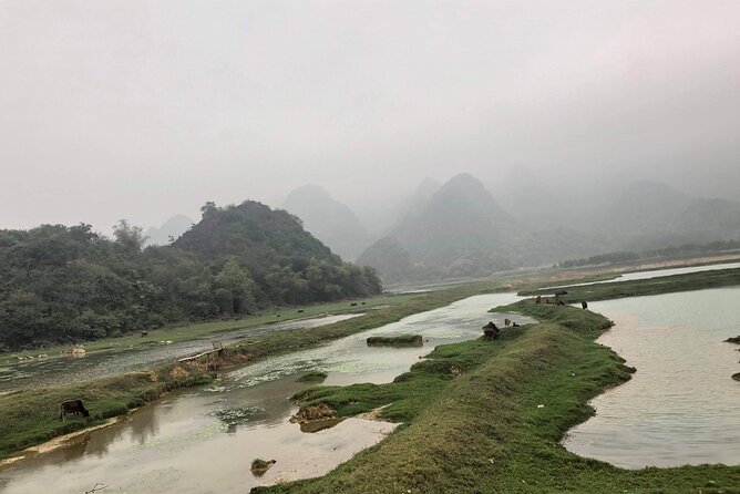Full-Day Cuc Phuong National Park Hiking Tour - Timing: A full day that stays organized