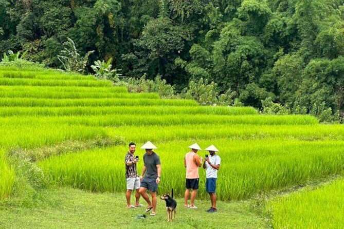 Full-Day Doi Inthanon National Park Tour with Trek and Pagodas - A 9.5-hour mountain day with a real walk