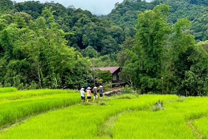 Full-Day Doi Inthanon National Park Tour with Trek and Pagodas - Hmong Market lunch: food first, shopping second
