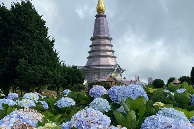 Full-Day Doi Inthanon National Park Tour with Trek and Pagodas - Pha Dok Siew Nature Trail trek: shaded forest walking and manageable effort