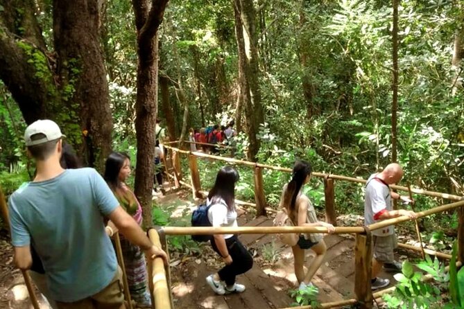 Full-Day Doi Inthanon National Park Tour with Trek and Pagodas - Wachirathan Falls: mist, cliffs, and the visual payoff