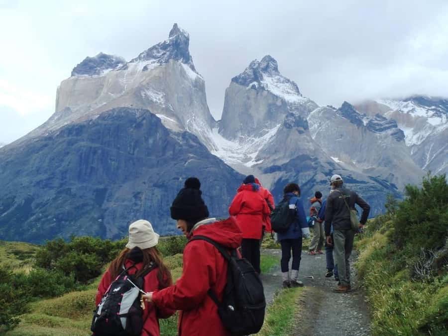 Full-day excursion to Torres del Paine National Park - What the guides actually do on this kind of day