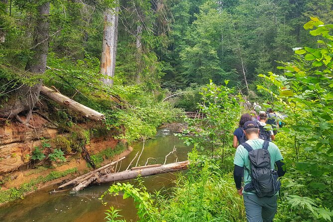 Full Day Gauja National Park Ultimate Hiking & Sightseeing Trip - Key highlights