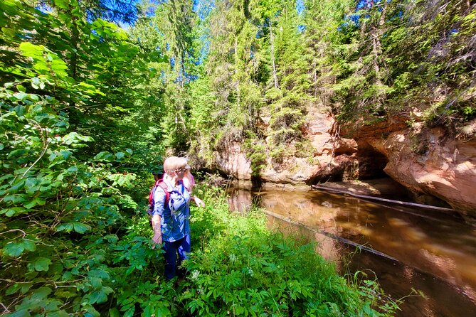 Full Day Gauja National Park Ultimate Hiking & Sightseeing Trip - Ergļu Cliffs along the Gauja riverbank: pine air and big sandstone