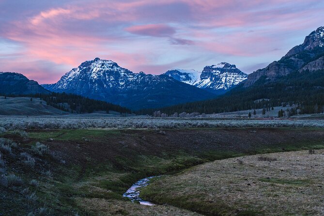 Full Day Guided Wildlife Photography Tour In Yellowstone - Key Highlights You’ll Feel on Day One