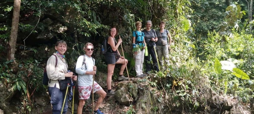 Full day hike - climbing in Jungle of Cat Ba National park - Cat Ba’s Big Trick: Forest Hikes That End in the Sea