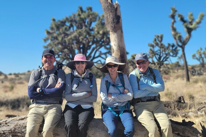 Full Day Hike in Joshua Tree National Park - The day in motion: how the 6–9 hour rhythm plays out