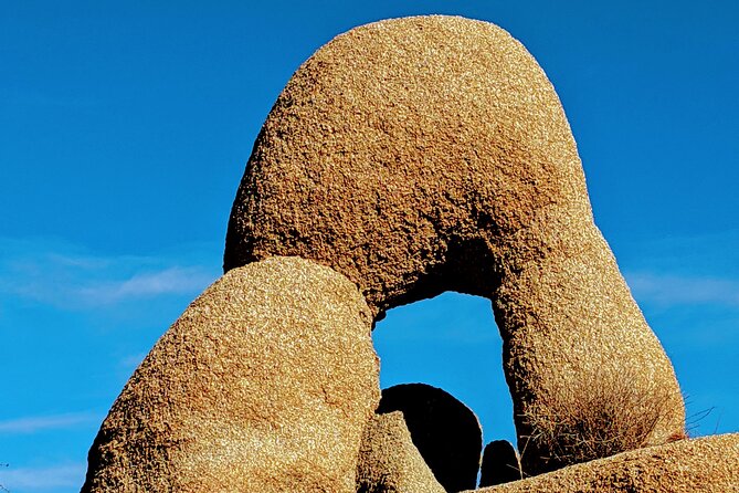 Full Day Hike in Joshua Tree National Park - Price and value: $409.10, plus the park fee