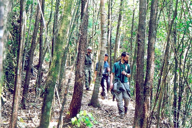 Full day: Hoi An - Bach Ma National Park - Wildlife Spotting: Deer and Rare Primates, With Realistic Expectations