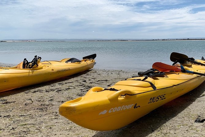 Full Day Kayaking Tour in Coorong National Park - Murray Mouth lookout: the meaning shifts as the day moves on