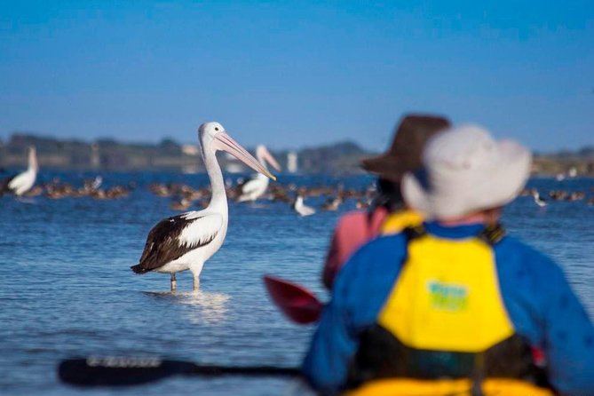 Full Day Kayaking Tour in Coorong National Park - From kayaking to dunes: Young Husband Peninsula and the bush tucker walk