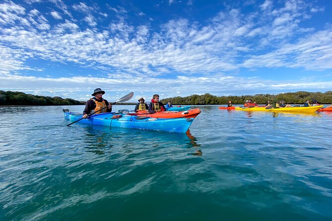 Full Day Kayaking Tour in Coorong National Park - Wildlife spotting and guide interpretation: what you gain beyond the route