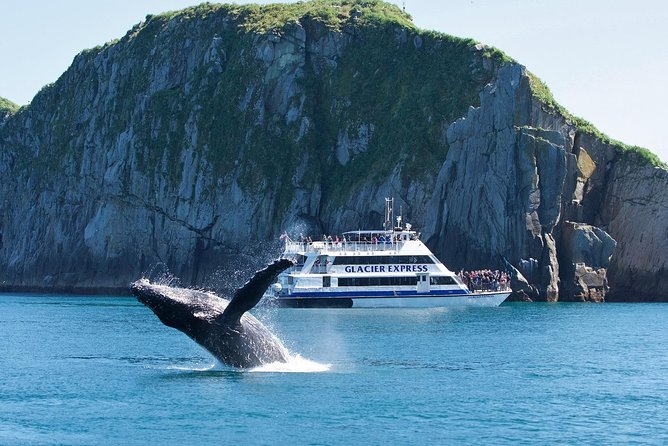 Full-Day Kenai Fjords National Park Cruise - Bear Glacier and Holgate Glacier: Two Active Calving Stops