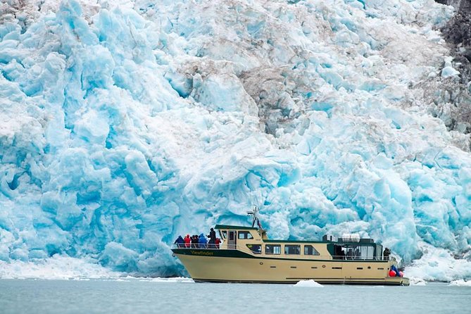 Full-Day Kenai Fjords National Park Northwestern Cruise - Chiswell Islands or Cape Resurrection: Seabird and Steller Sea Lion Country
