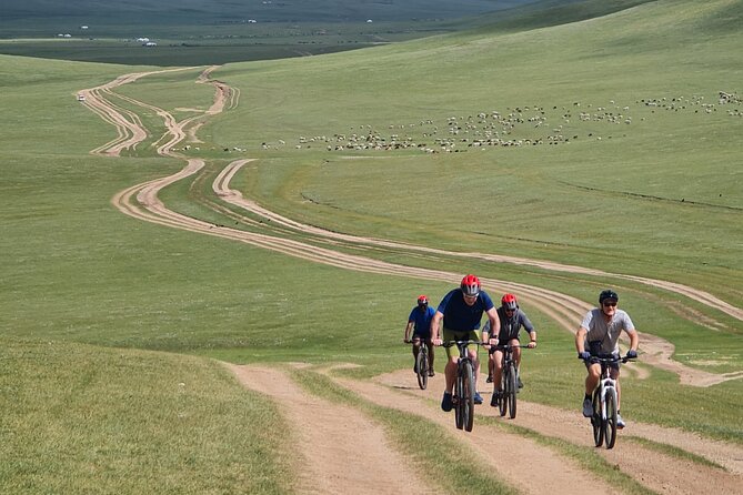 Full Day Mountain Biking Tour in Khan Khenty National Park - Lunch at the 26th km: food that keeps the pace human