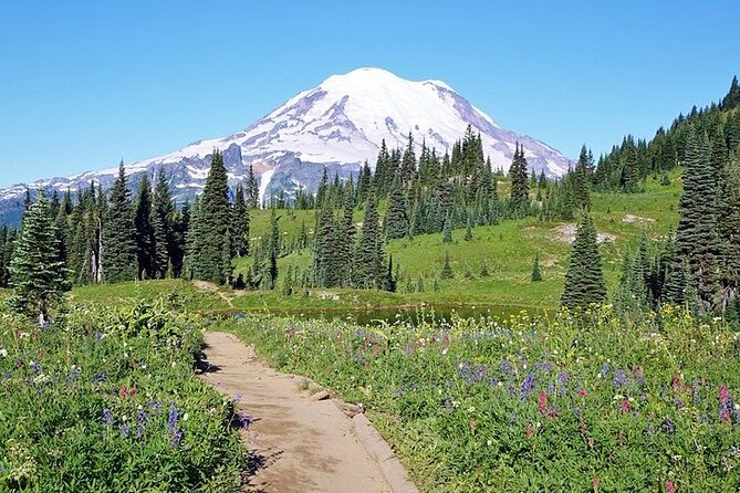 Full-Day Mt Rainier National Park Private Tour in SUV - Narada Falls: the quick, iconic win on the Paradise road