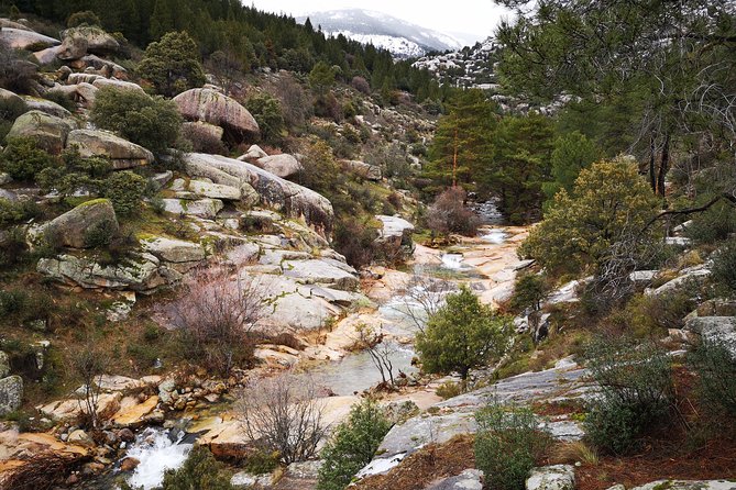 Full-Day Private Guided Tour to Guadarrama National Park - Sierra de Guadarrama feels bigger when you’re not guessing