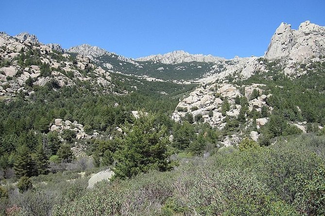 Full-Day Private Guided Tour to Guadarrama National Park - Manzanares El Real Castle: 15th-century palace-fortress, entry not included