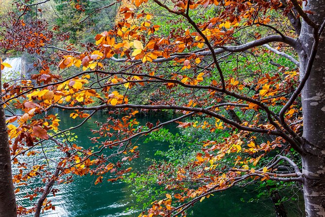 Full-Day Private Plitvice Lakes National Park Tour from Split - FAQ
