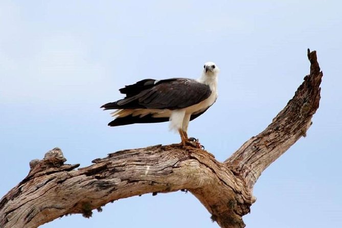 Full Day Private Safari at Yala National Park by Yala La Safari Tours - A 10–12 Hour Day: Long Enough for Chances, Short Enough to Function