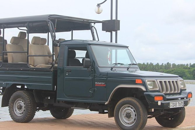 Full Day Private Safari at Yala National Park by Yala La Safari Tours - Leopard Odds at Yala: What Your Day Is Really About