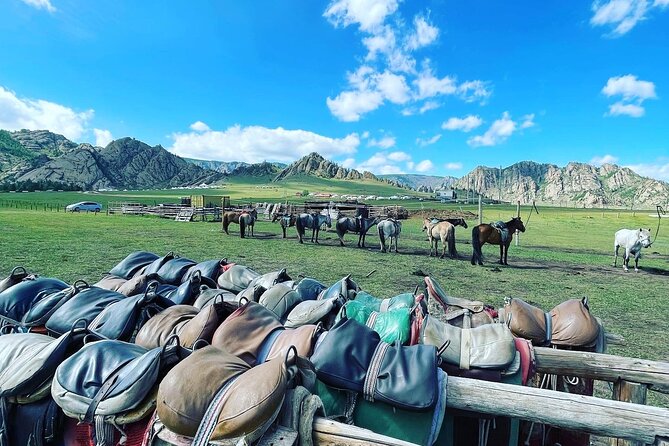 Full Day Private Tour in Terelj National Park with Horse Riding - Ger (Yurt) Lunch With Nomadic Families: Where the Day Becomes Real
